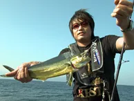 RUN＆GUN SALT SHIZUOKA LIGHT SHORE JIGGING