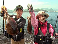 とことんエギパラダイス 73 静岡県伊豆半島の旅　居残りイカをグルグル回って大捜索なり！