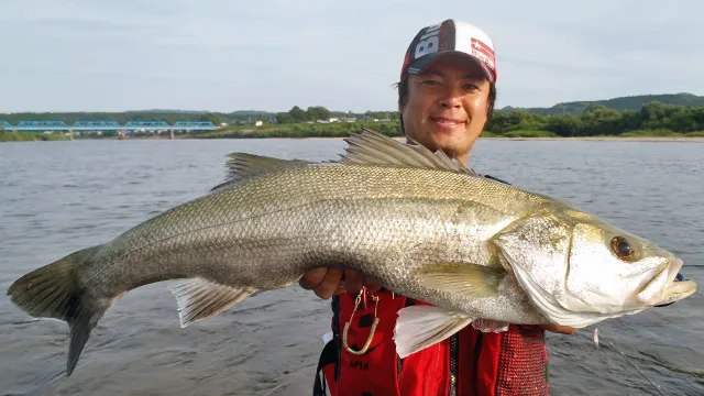 Seabass Journey 9 秋田県・米代川