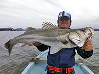 Seabass Journey 10 島根県・宍道湖