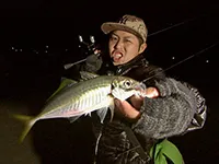 Azing Lab.2nd 9 初上陸 山口県周防大島！月明かりに照らされたアジング攻略