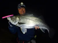 Seabass Journey 14 鳥取県・千代川