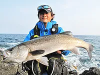 Dz SALT case70 石川県舳倉島の磯マル