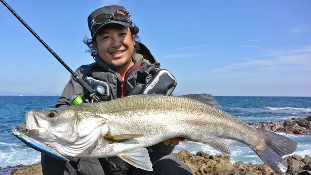 SALT Dreamer 59 青森県・大間崎 弁天島 シーバス