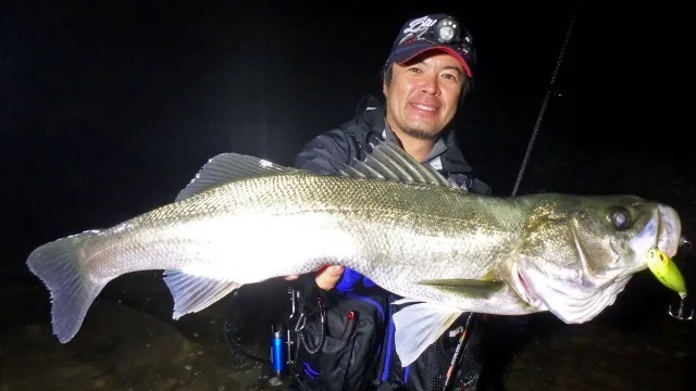 Seabass Journey 25 秋田県・雄物川