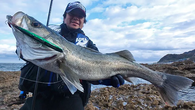 Seabass Journey 26 石川県・能登半島