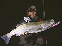 Seabass Journey 27 徳島県・吉野川 他