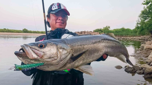 Seabass Journey 28 山形県・最上川