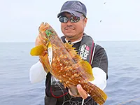 ソルトギャラリー 4 石川県金沢沖 スキッディング根魚ゲーム