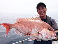 ソルトギャラリー 5 鹿児島県・志布志湾 ライトジギング