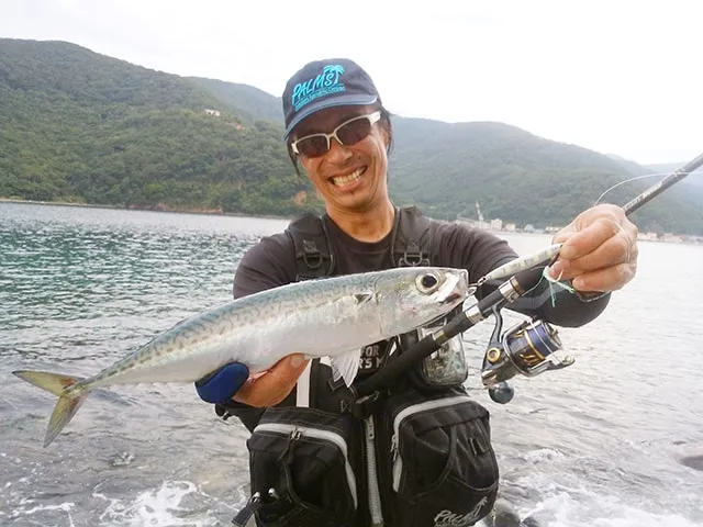 メタルバスター ROUND12 VS相模湾＆駿河湾の小型回遊魚