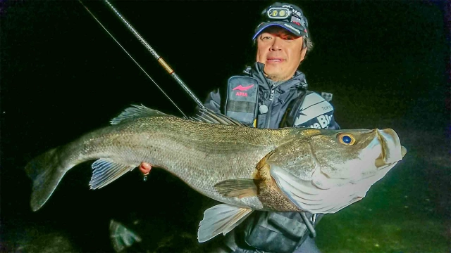 Seabass Journey 31 佐賀県唐津