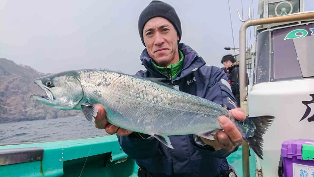 ソルトギャラリー 14 岩手県大船渡 サクラマスジギング