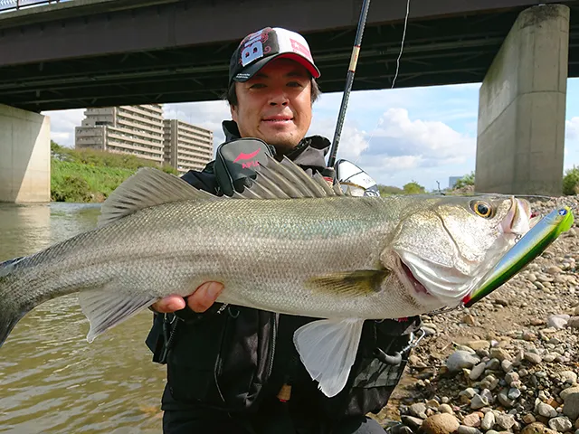 Seabass Journey 33 石川県金沢