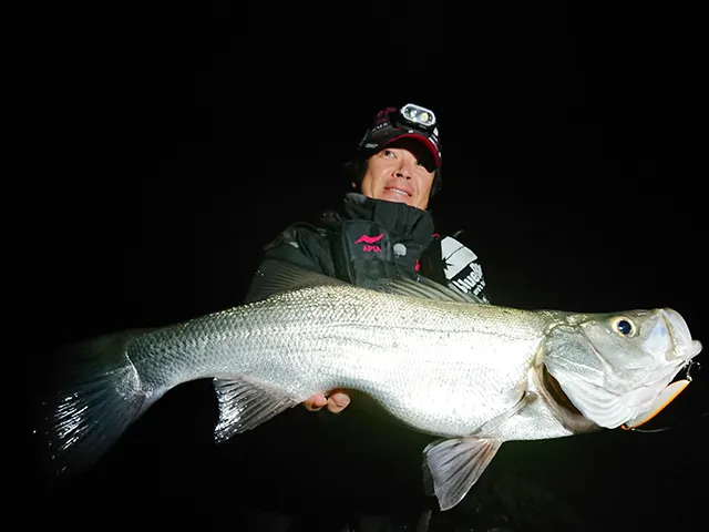 Seabass Journey 34 鹿児島県薩摩川内