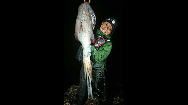 ソルトギャラリー 21 鹿児島県屋久島 エギング レッドモンスター