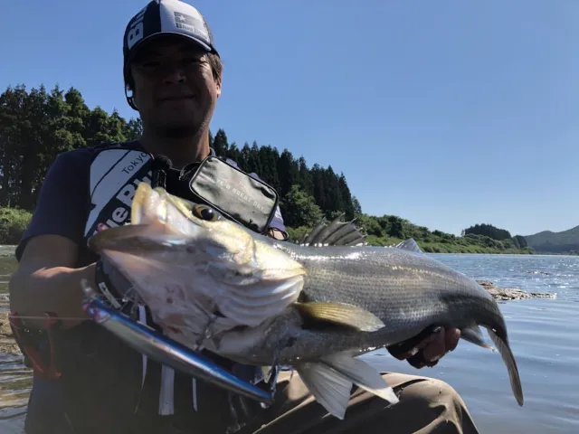 Seabass Journey 36 秋田県雄物川