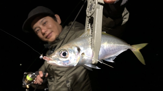 Azing Lab.2nd 50 山口県の離島 季節外れの数釣り攻略