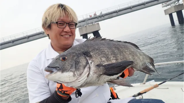 やっぱりシー研 海洋生物研究所 6 大阪湾 初夏の生態調査