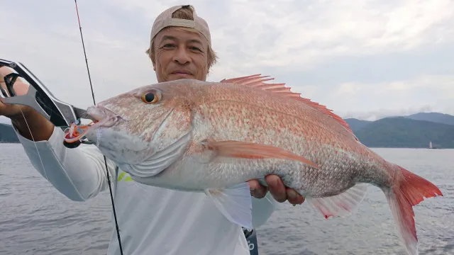 128 愛媛県由良半島 レンタルボートでタイラバ！