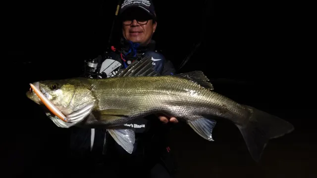 Seabass Journey 40 青森県十三湖