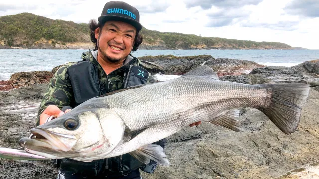 SALT Dreamer 82 長崎県対馬ヒラスズキ