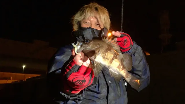 やっぱりシー研 海洋生物研究所