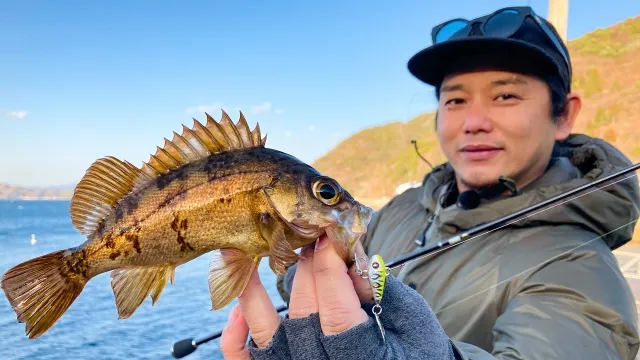 22 広島県 メバリング ハードプラグゲーム