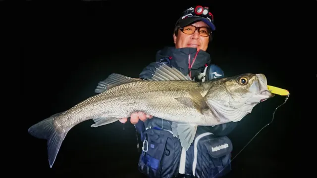 Seabass Journey 45 秋田県米代川