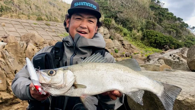 SALT Dreamer 87 鹿児島県種子島 ヒラスズキ