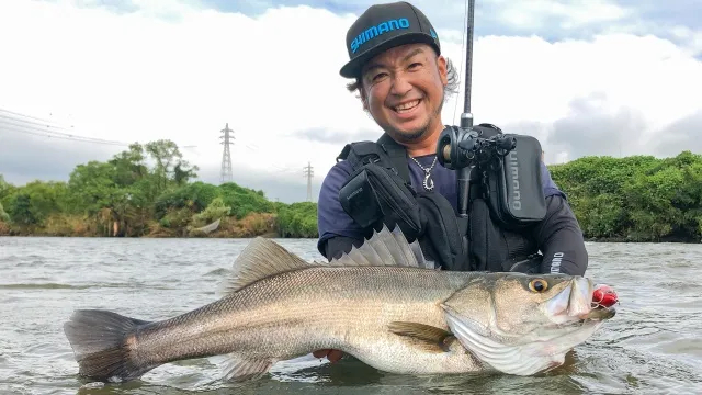 Salt Dreamer 大分県 ビッグベイトシーバス 釣りビジョン