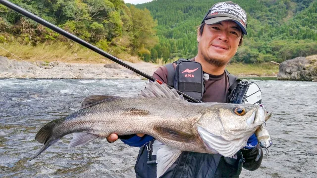 Seabass Journey 49 宮崎県大淀川