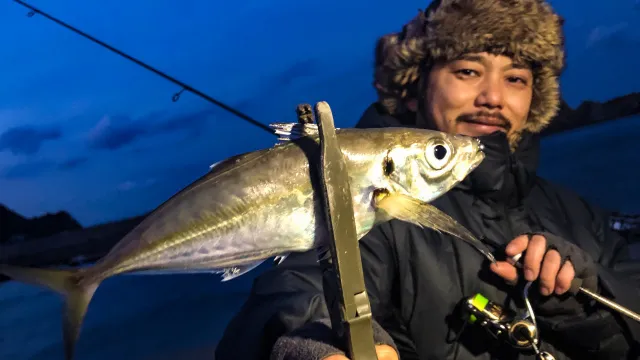 Azing Lab.2nd 64 三重県鳥羽エリア 極寒の離島でエンジョイ！？アジング！！