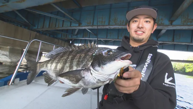 ソルトギャラリー 50 東京湾ボートチニング