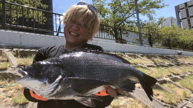 やっぱりシー研 海洋生物研究所 22 真夏のお手軽チヌゲーム＆シーバスメソッド編