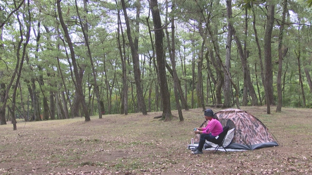 海釣り幕営