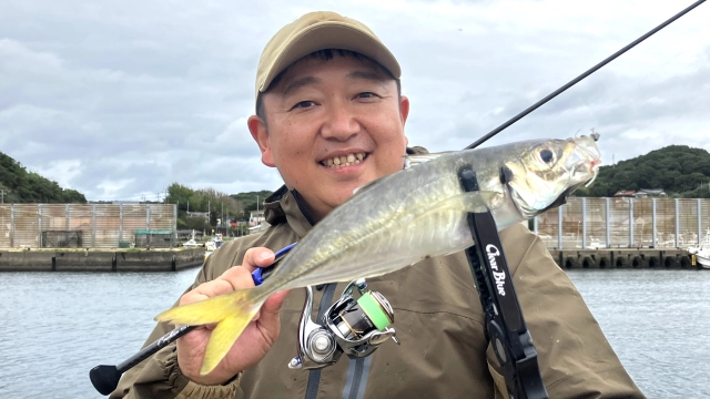 青色アジング 2 佐賀県小川島で秋のデイアジング！