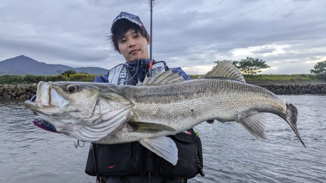 シーバス無双 4 熊本県リバーシーバス