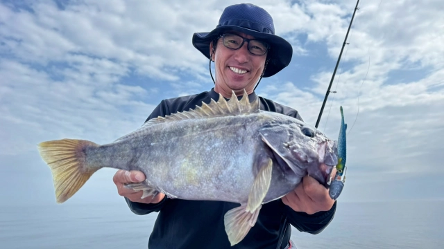 Rock'n Fish