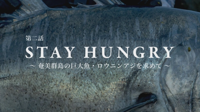 STAY HUNGRY