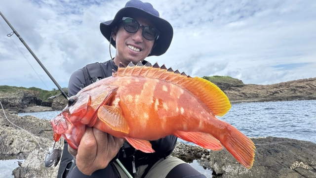 Rock'n Fish