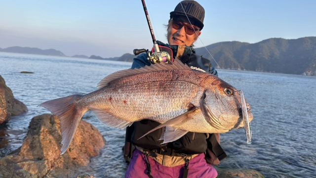 海 de ベイトタックル