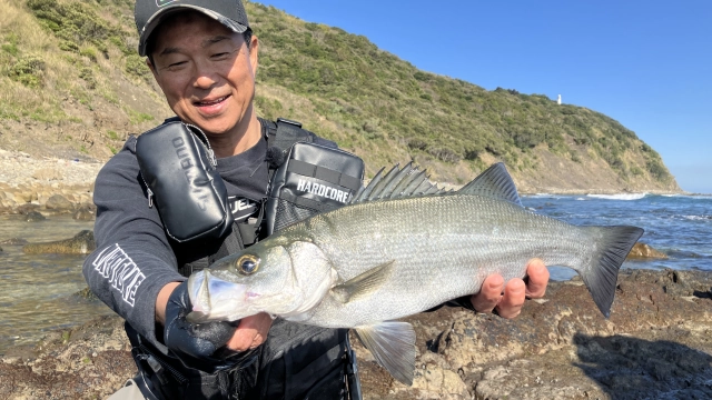 ソルトノトビラ