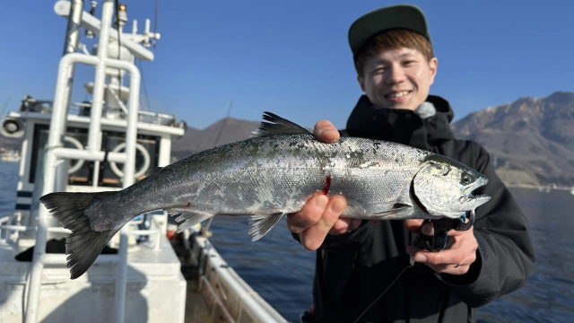 海 de ベイトタックル