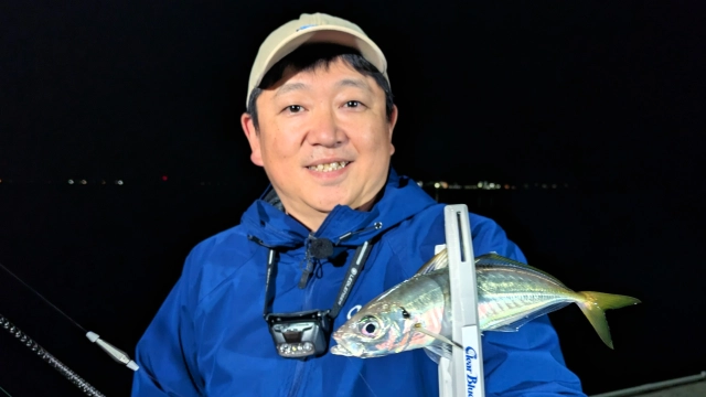 青色アジング