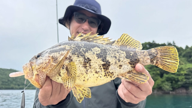 Rock'n Fish