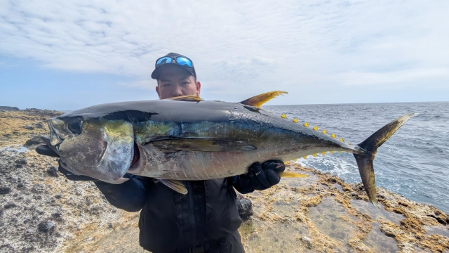 Fish Fury