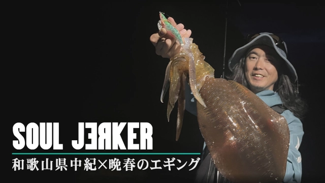 SOUL JERKER