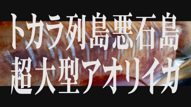 ソルトノトビラ