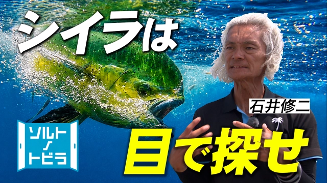 ソルトノトビラ